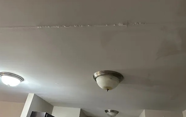 Ceiling Water Extraction in Robert, LA