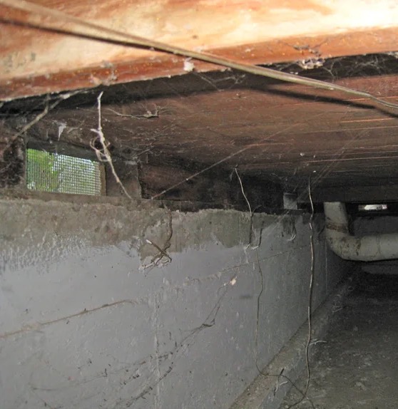 Crawl Space Water Extraction in Robert, LA