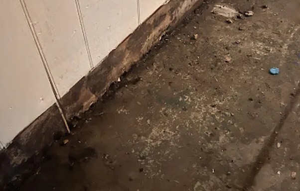 Sewage Water Extraction in Covington, LA