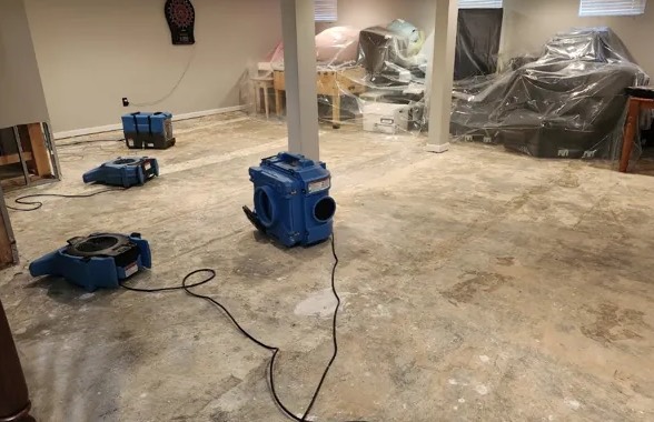 Deodorization Services in Madisonville, LA